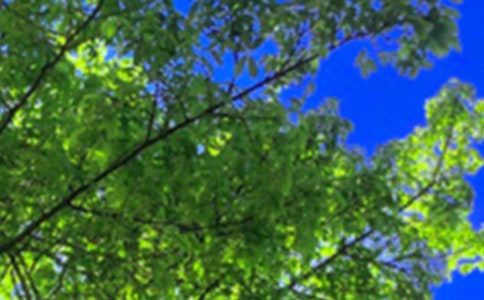 經(jīng)典唯美午安寄語(通用70句)