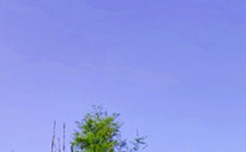 經(jīng)典溫馨午安寄語60句