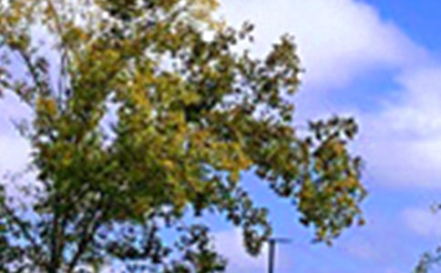 溫馨午安寄語大全(通用50句)