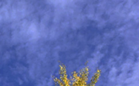 經(jīng)典正能量午安寄語30句精選