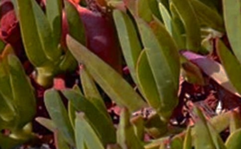 關(guān)于正能量午安寄語(yǔ)大全(精選50句)