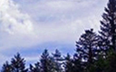 溫馨午安寄語(精選30句)