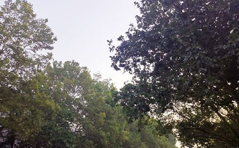 經(jīng)典午安寄語(yǔ)(通用90句)