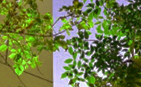 �簲���Z(y��)��ȫ50��