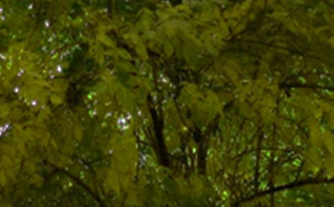 關(guān)于治愈午安寄語大全(通用80句)