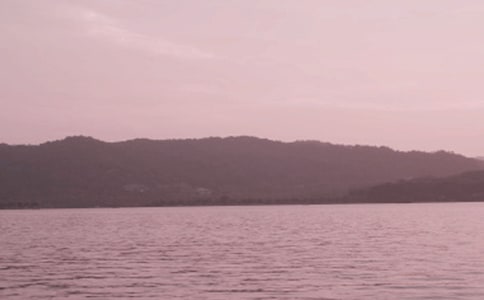 西湖小學(xué)生寫景作文