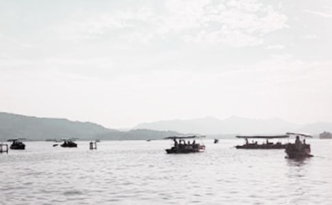 有關(guān)西湖寫景作文300字集錦八篇