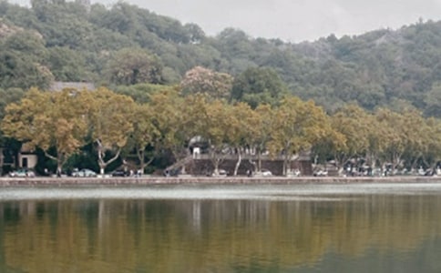 杭州西湖導(dǎo)游詞四年級(jí)作文