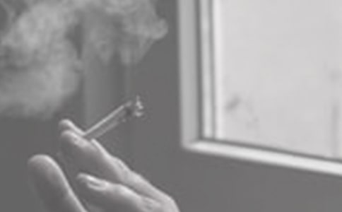 ���������ƶ�