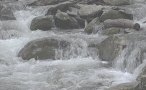 小溪流的歌讀后感