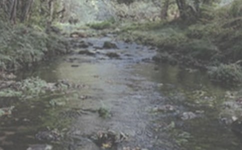 ������СϪ������