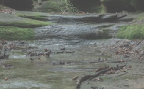 小溪流的歌童話作文