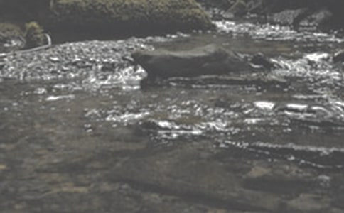 СϪ����������