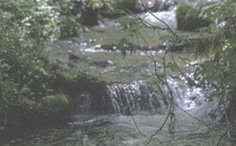 СϪ���ĸ�600������