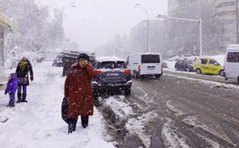 關(guān)于下雪了的作文(實(shí)用)