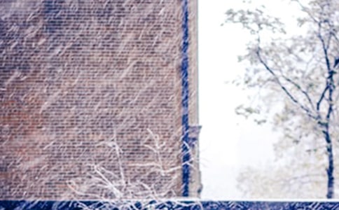 (��(j��ng)��)��ѩ������