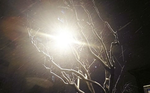 ��ѩ�ˌ�������300�֣�ͨ��59ƪ��