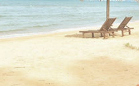 �l(xi��ng)�(zh��n)�ļ����������R��(b��o)�����x15ƪ��