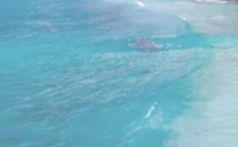 ����δ��