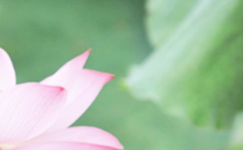 夏至節(jié)氣作文