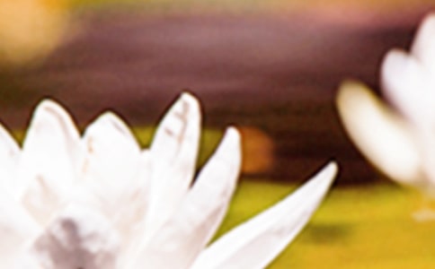 夏至說春雨散文