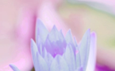 夏至節(jié)氣經(jīng)典寄語(匯編10篇)