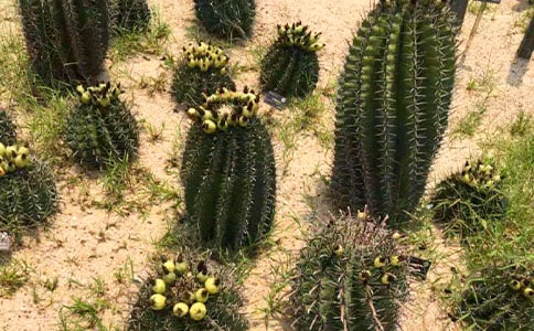 ��������ӛ�����\��10ƪ