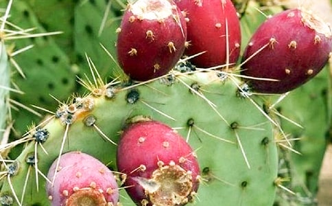 ���������ģ�����15ƪ��