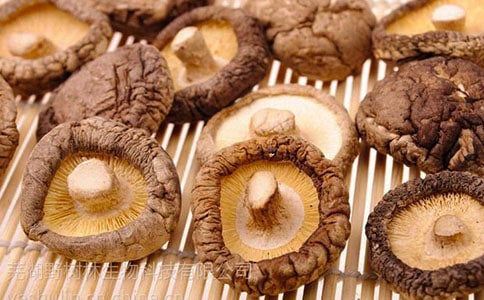 �㹽��������ô���ó���