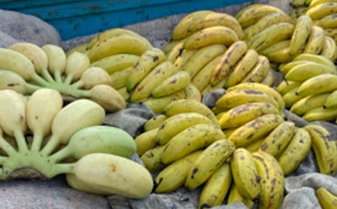 小班美術(shù)教案《畫香蕉》