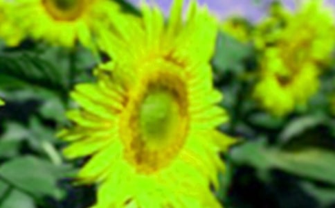 �а����g(sh��)���տ��̰�9ƪ