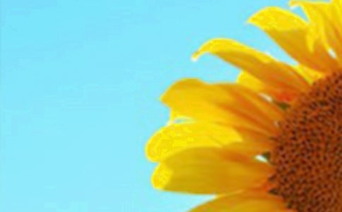 �����տ����g(sh��)���p��������g(sh��)�̰������x10ƪ��