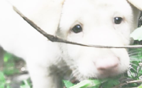 С������