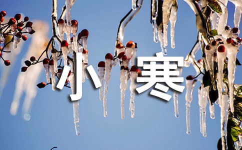 關(guān)于小寒作文通用【3篇】