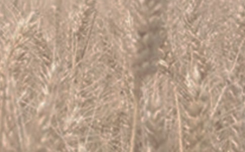 ��ೣ�RС����һ���̰������x10ƪ��