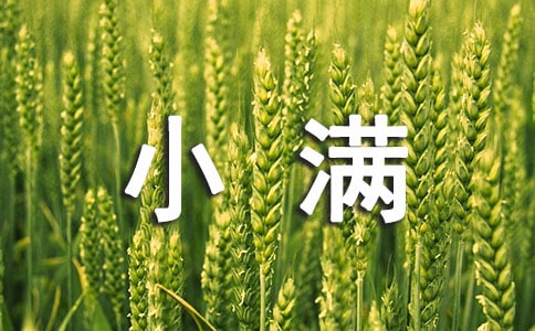 小滿是哪天