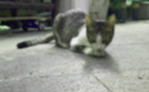 �Ҽҵ�С؈������