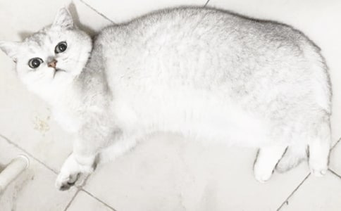 �ɐ�(��i)��С؈����15ƪ[��]