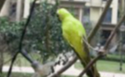 С�B��������