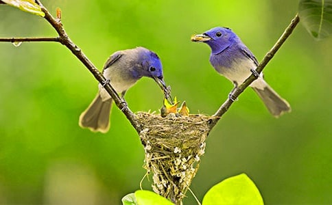 ���o(h��)С�B����