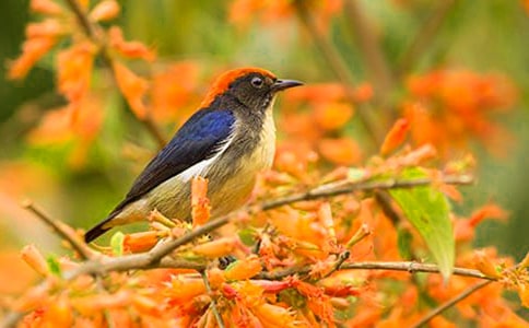 С�B�ؼ�С�����g�̰�