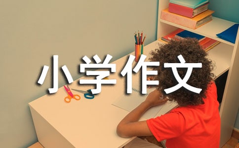 我的班級小學作文300字合集7篇