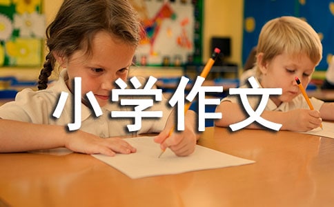 我的班級(jí)小學(xué)作文300字匯總5篇