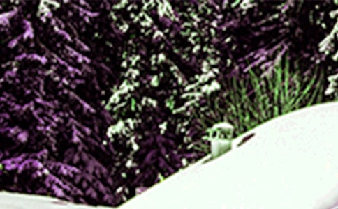 小雪有什么養(yǎng)生關(guān)鍵