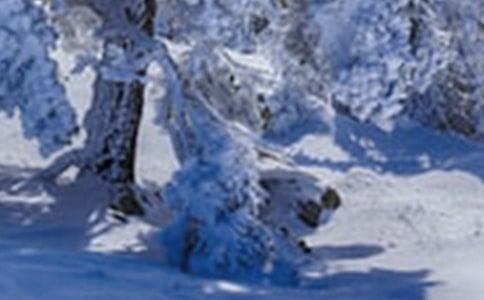 Сѩ���׃��@�а������̰�