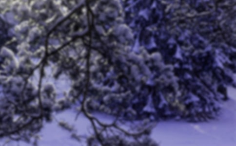 關(guān)于小雪的作文(常用12篇)