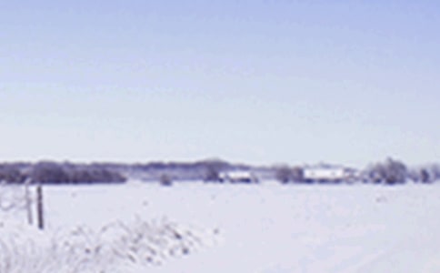 中班音樂《小雪花來到》教案范文