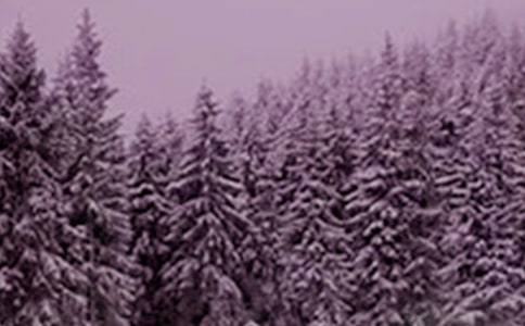 中班音樂《小雪花來到》教案