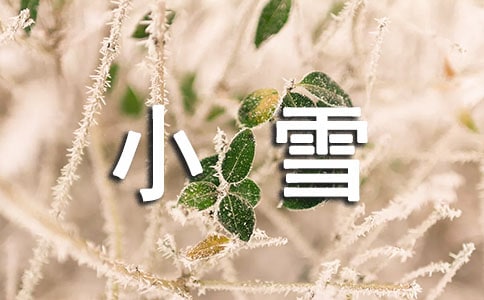 最新關(guān)于小雪節(jié)氣的日記(通用8篇)