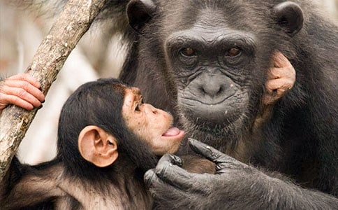 ����Ҳ�f(shu��)��Ԓ?